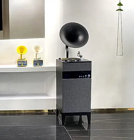 Siyah Gri Gramofon Müzik Çalar