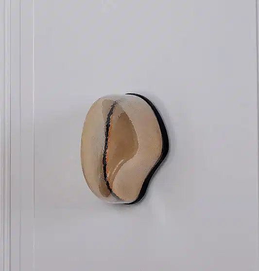 Gambia Bal Cam Siyah Aplik 30 cm