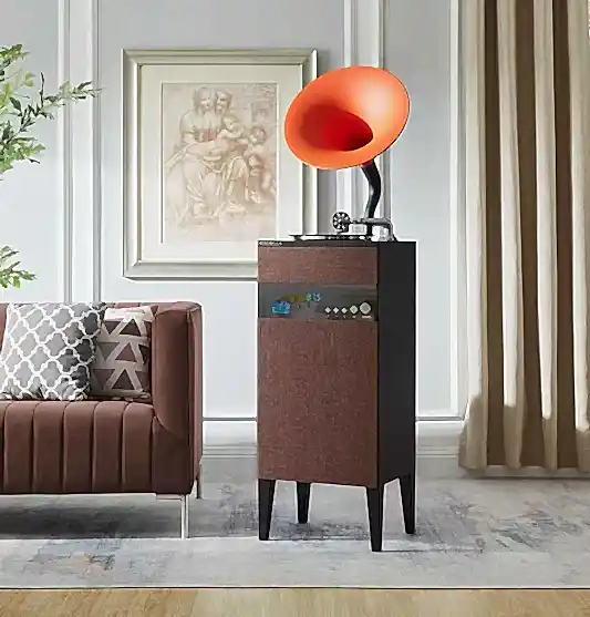 Turuncu Kahverengi Gramofon Müzik Çalar